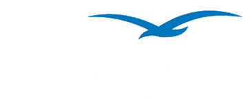 CLEANWORK Fassadenreinigung Gebäudereinigung Tirol Logo